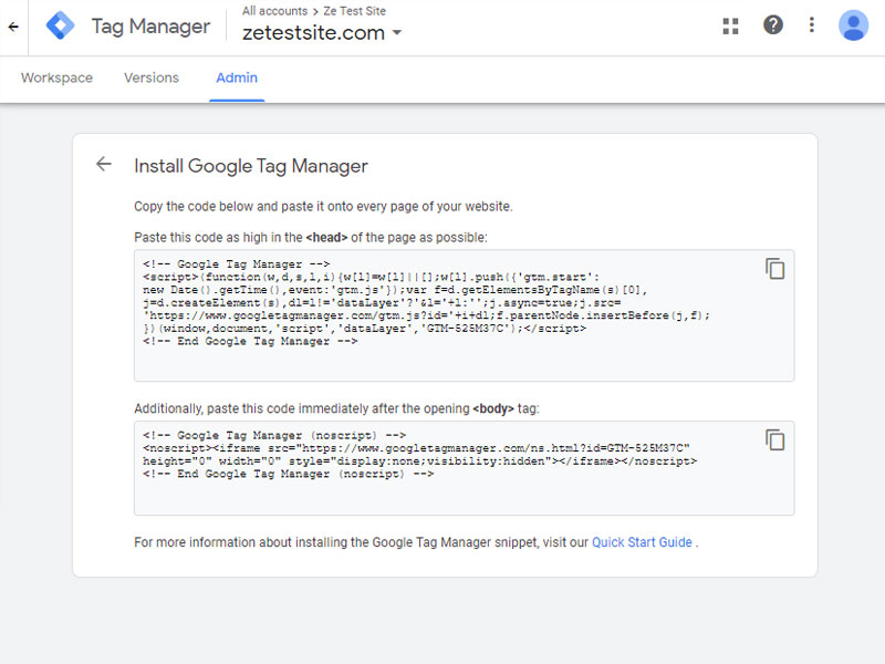 Installing Google Tag Manager head and body script - Step 3